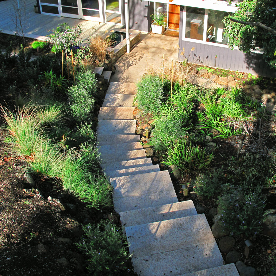 Ace of Spades Landscapes